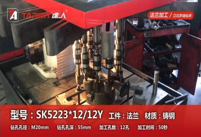 SK5223*12/12Y 攻铸钢法兰