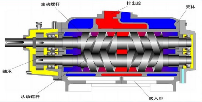 双螺杆泵基本机构图.png
