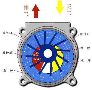 水环真空泵基本结构图.png